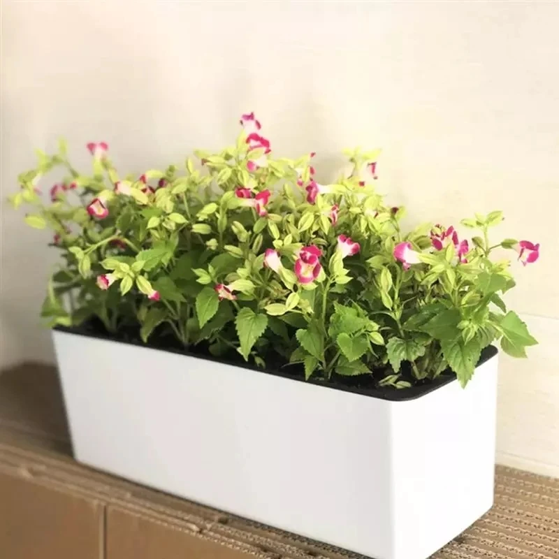 Rectangula Lazy Flower Pot Pot - огляд і ціна Hydroponic Grow Pod