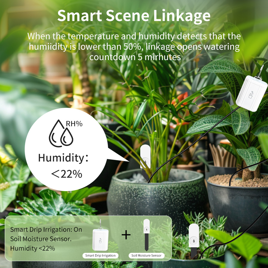 Smart Zigbee 3.0 Soil Tester H - огляд і ціна Plant Monitor