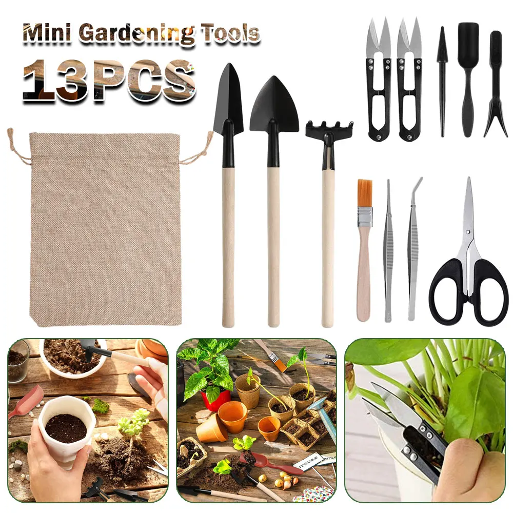 13PCS Succulent Plants Tool Se - огляд і ціна Indoor Garden Kit