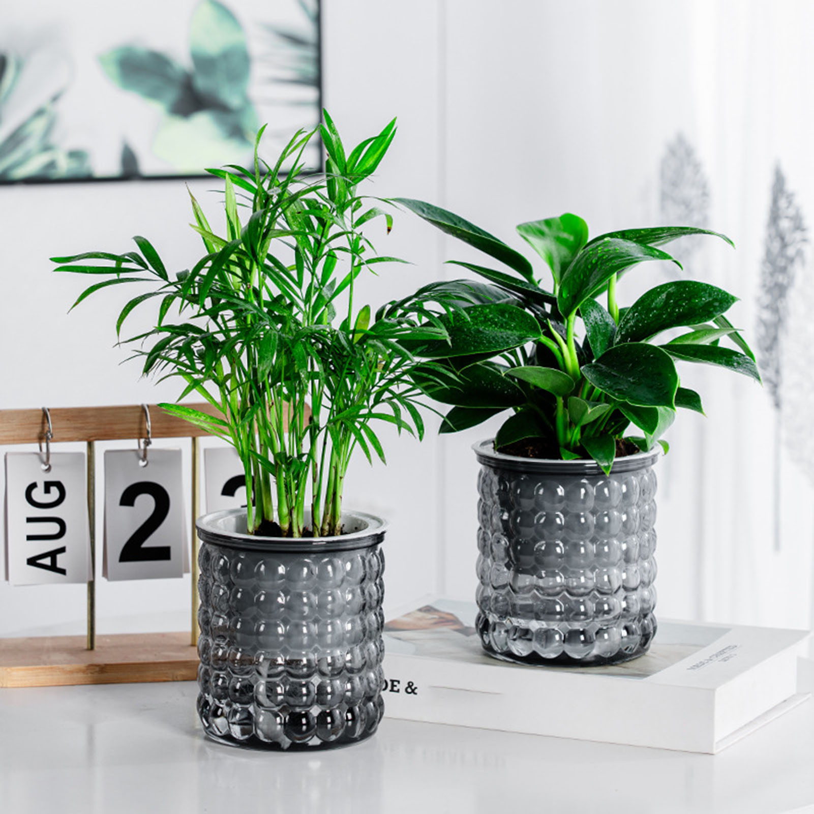 New Self Watering Hydroponic P - огляд і ціна Hydroponic Grow Pod